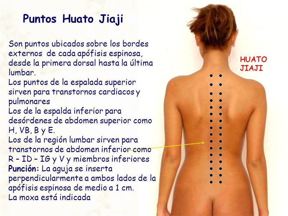 El dolor agudo en el músculo de la espalda que hacer
